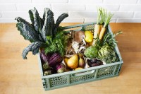 3 Sprouts πτυσσόμενο καφάσι_Large_Green_Lifestyle_4